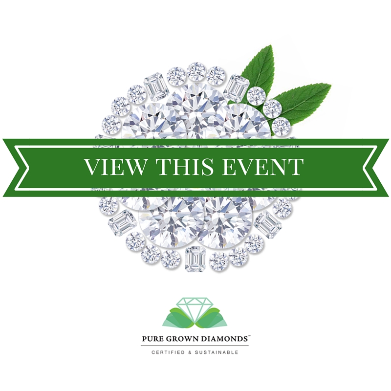 View This Event